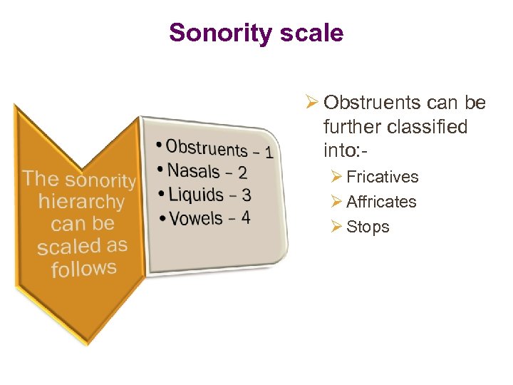 Sonority scale Ø Obstruents can be further classified into: Ø Fricatives Ø Affricates Ø