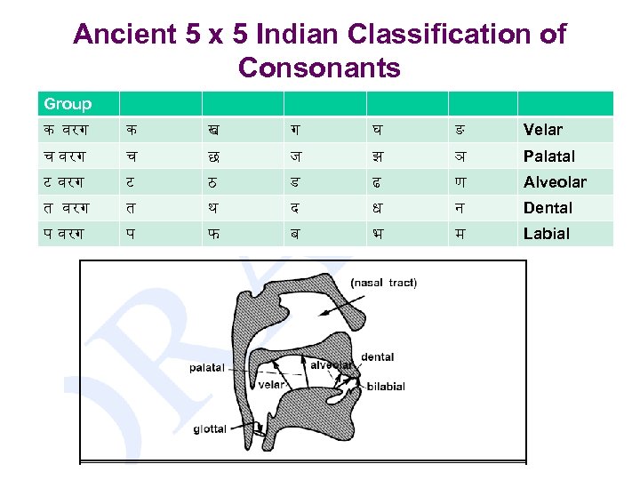 Ancient 5 x 5 Indian Classification of Consonants Group क वरग क ख ग