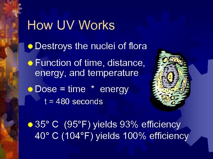 How UV Works ® Destroys the nuclei of flora ® Function of time, distance,