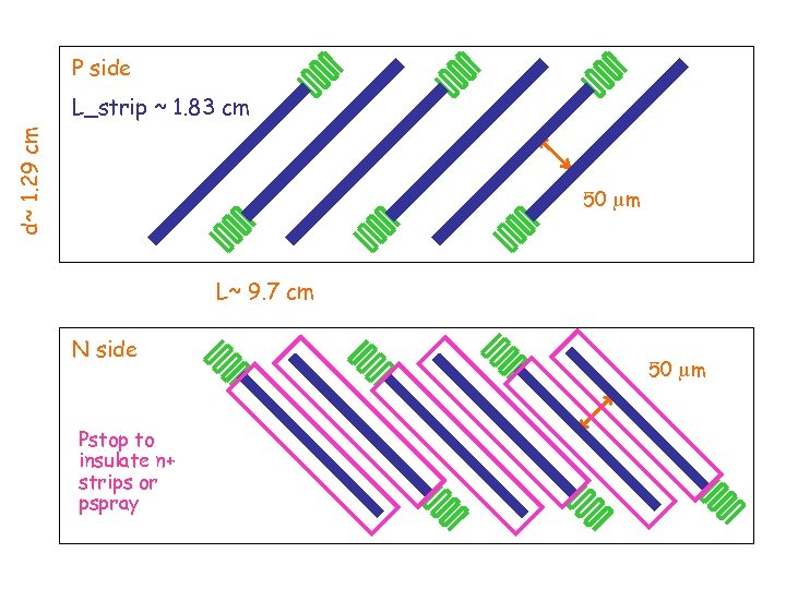 P side d~ 1. 29 cm L_strip ~ 1. 83 cm 50 mm L~