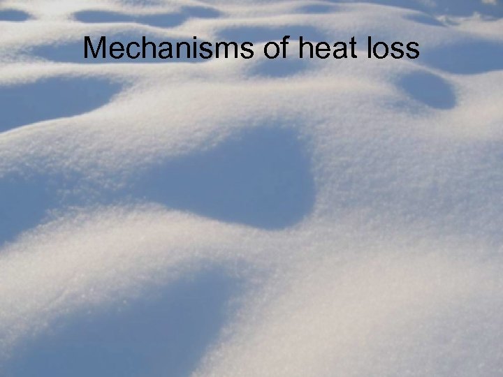 Mechanisms of heat loss 
