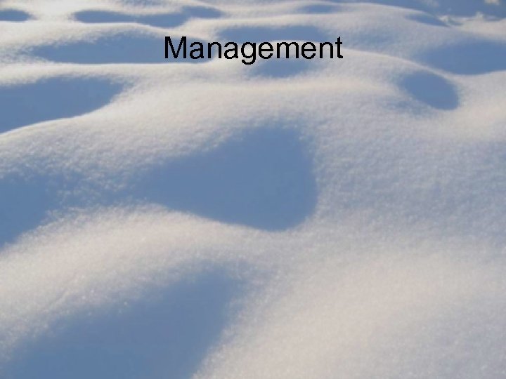 Management 