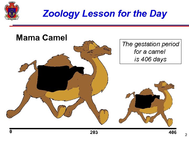 Zoology Lesson for the Day Mama Camel 0 The gestation period for a camel
