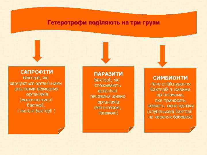 Гетеротрофи поділяють на три групи САПРОФІТИ бактерії, які харчуються органічними рештками відмерлих організмів (молочно-кислі