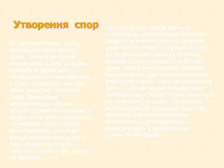 Утворення спор За несприятливих умов, наприклад, при нестачі води, багато бактерій переходять в стан