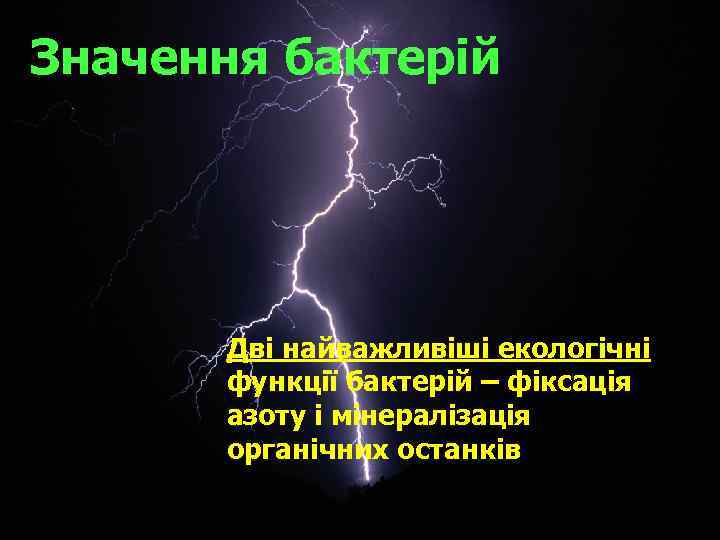 Значення бактерій Дві найважливіші екологічні функції бактерій – фіксація азоту і мінералізація органічних останків