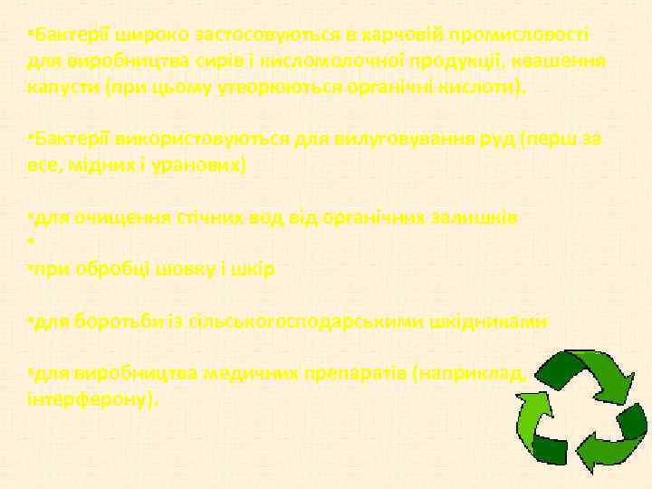  • Бактерії широко застосовуються в харчовій промисловості для виробництва сирів і кисломолочної продукції,
