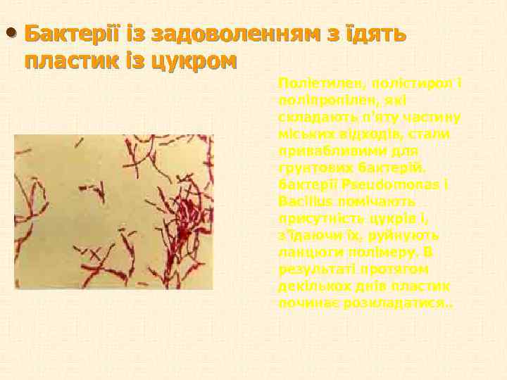  • Бактерії із задоволенням з їдять пластик із цукром Поліетилен, полістирол і поліпропілен,