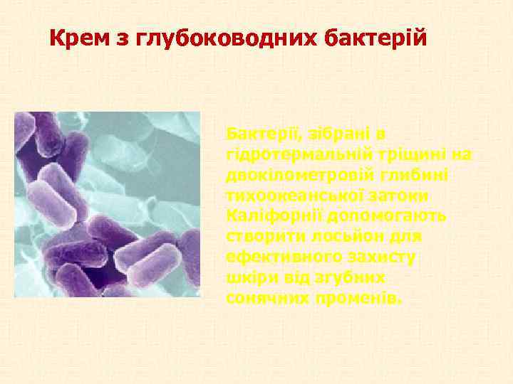 Крем з глубоководних бактерій Бактерії, зібрані в гідротермальній тріщині на двокілометровій глибині тихоокеанської затоки