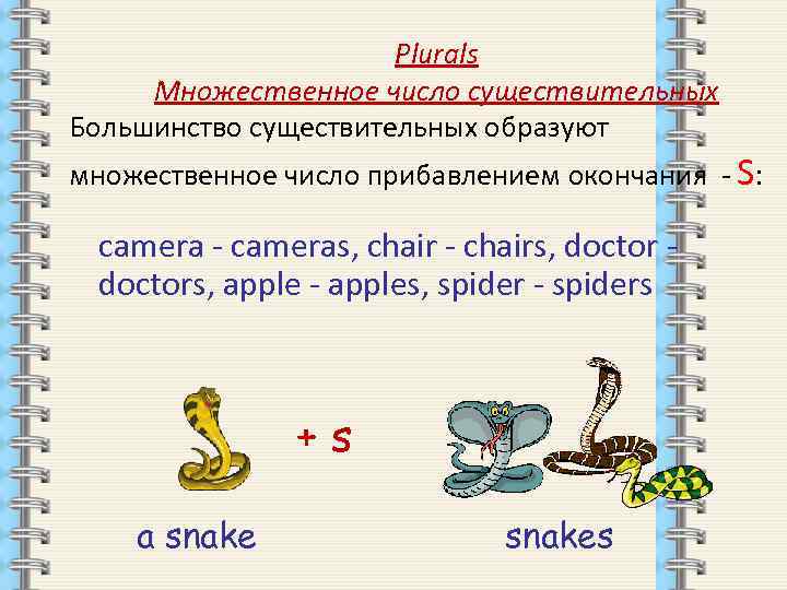 Множественное слово box. Plural of Nouns множественное число существительных. Plurals множественное число существительных. Spider множественное число. Spider во множественном числе на английском языке.