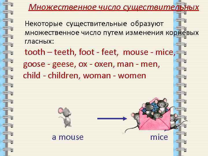 Множественное число существительных Некоторые существительные образуют множественное число путем изменения корневых гласных: tooth –