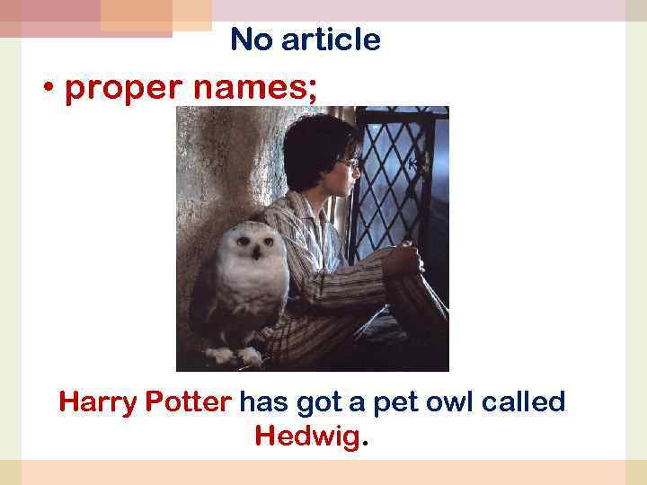 No article • proper names; Harry Potter has got a pet owl called Hedwig.