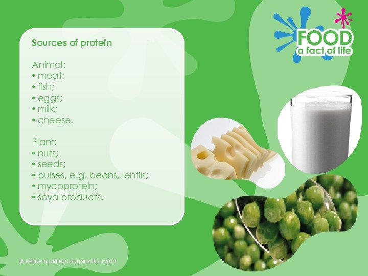 Sources of protein Animal: • meat; • fish; • eggs; • milk; • cheese.