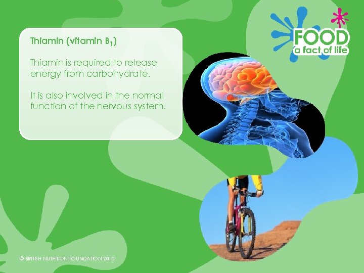 Thiamin (vitamin B 1) Thiamin is required to release energy from carbohydrate. It is