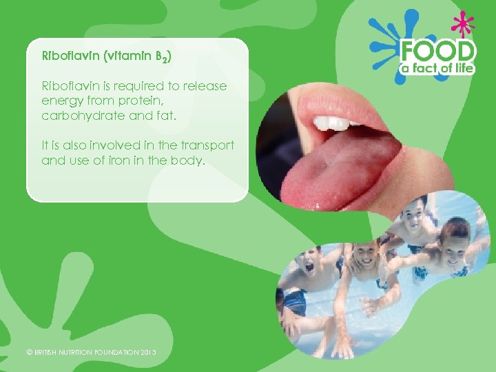 Riboflavin (vitamin B 2) Riboflavin is required to release energy from protein, carbohydrate and