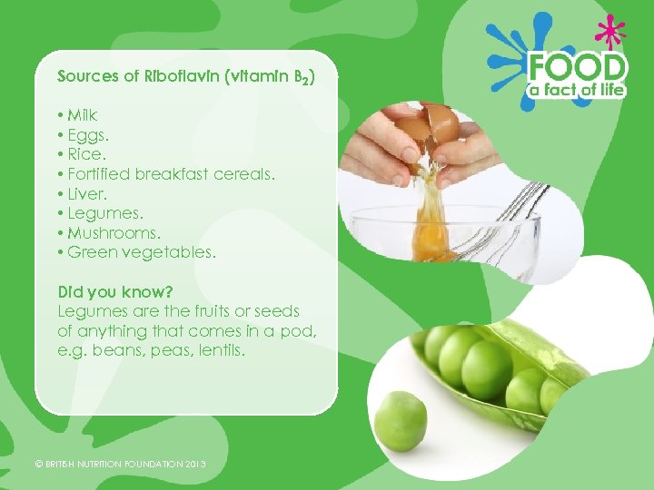 Sources of Riboflavin (vitamin B 2) • Milk • Eggs. • Rice. • Fortified