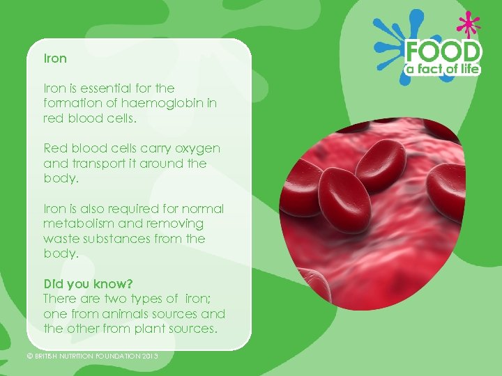 Iron is essential for the formation of haemoglobin in red blood cells. Red blood