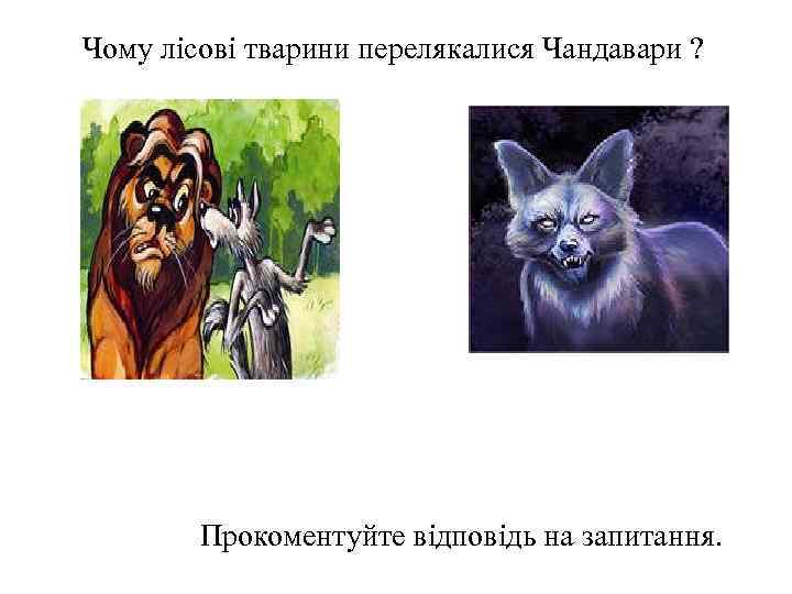 Чому лісові тварини перелякалися Чандавари ? Прокоментуйте відповідь на запитання. 