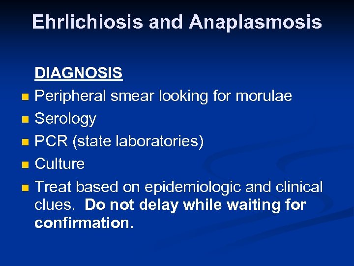 Ehrlichiosis and Anaplasmosis n n n DIAGNOSIS Peripheral smear looking for morulae Serology PCR