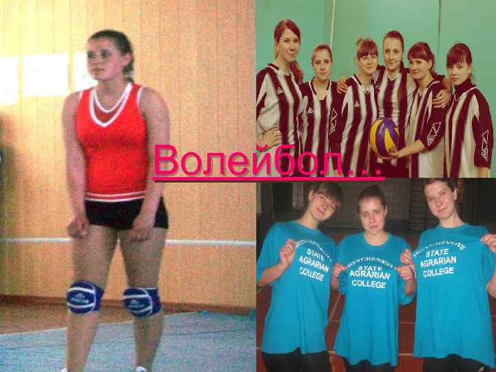 Волейбол… 