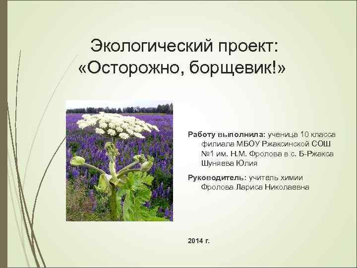 Экологический проект: «Осторожно, борщевик!» Работу выполнила: ученица 10 класса филиала МБОУ Ржаксинской СОШ №