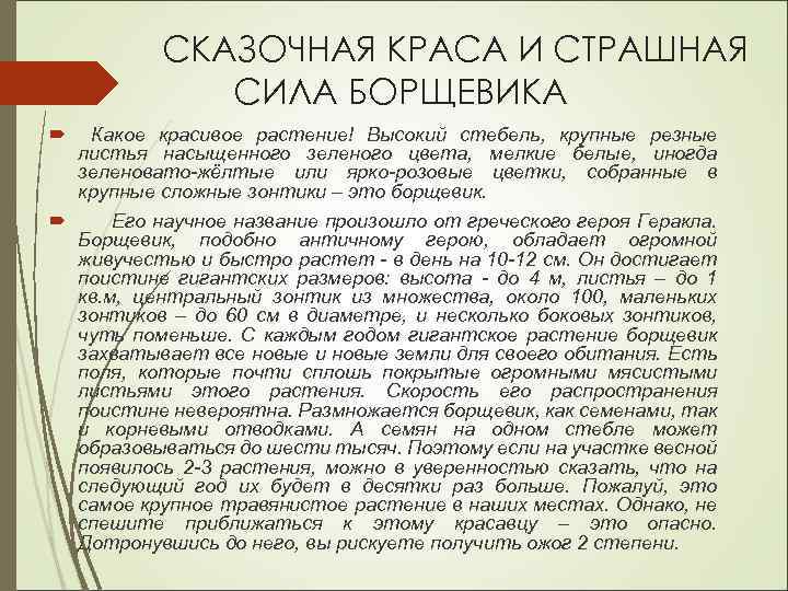 СКАЗОЧНАЯ КРАСА И СТРАШНАЯ СИЛА БОРЩЕВИКА Какое красивое растение! Высокий стебель, крупные резные листья