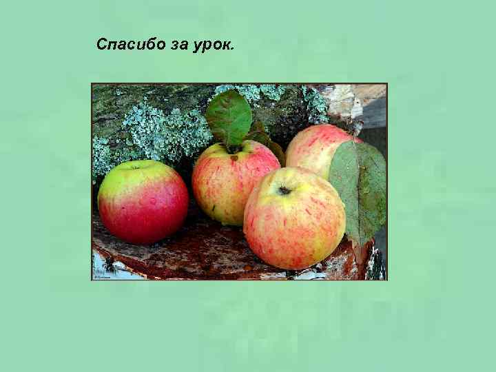 Спасибо за урок. 