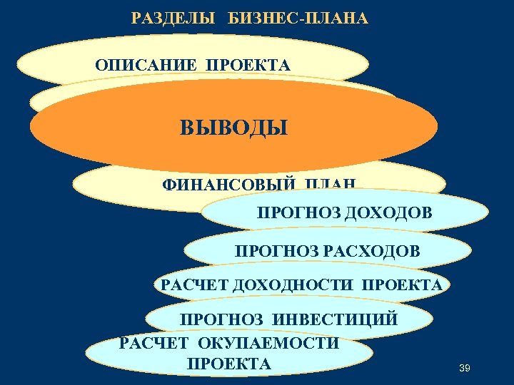 РАЗДЕЛЫ БИЗНЕС-ПЛАНА ОПИСАНИЕ ПРОЕКТА ОБЗОР РЫНКА ВЫВОДЫ КОНЦЕПЦИЯ КЛУБА ФИНАНСОВЫЙ ПЛАН ПРОГНОЗ ДОХОДОВ ПРОГНОЗ