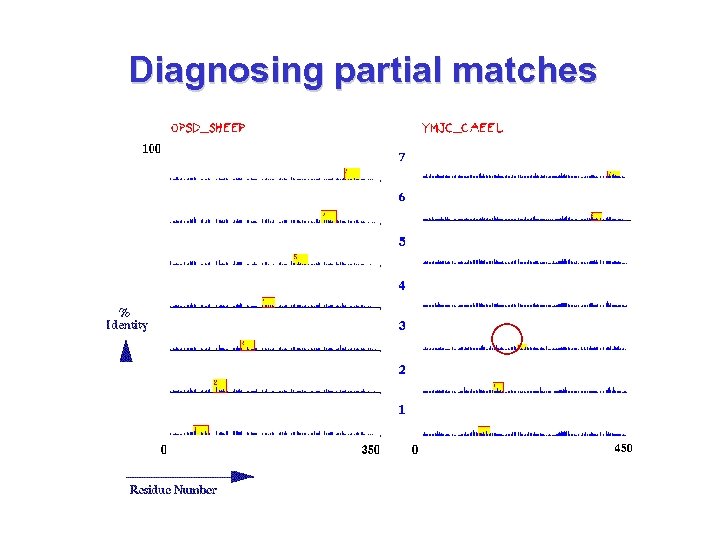 Diagnosing partial matches 