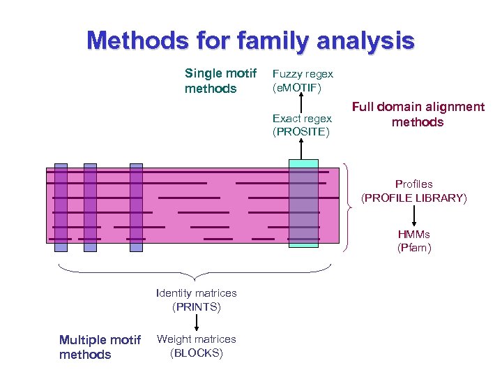 Methods for family analysis Single motif methods Fuzzy regex (e. MOTIF) Exact regex (PROSITE)