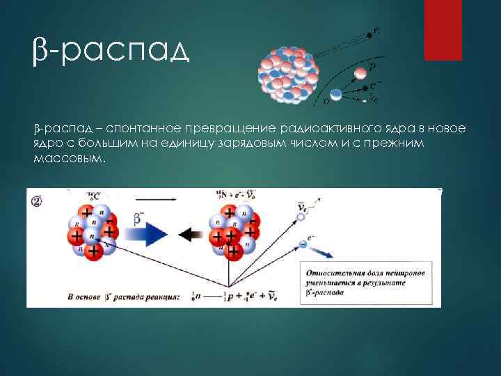 β-распад – спонтанное превращение радиоактивного ядра в новое ядро с большим на единицу зарядовым