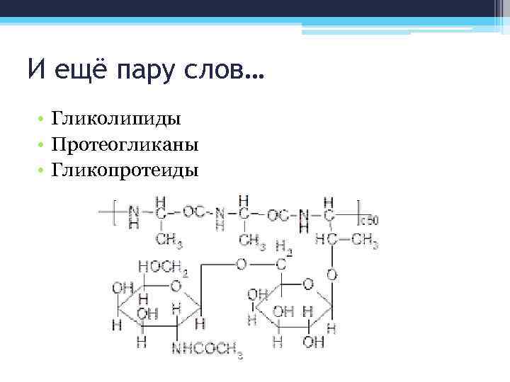 И ещё пару слов… • Гликолипиды • Протеогликаны • Гликопротеиды 