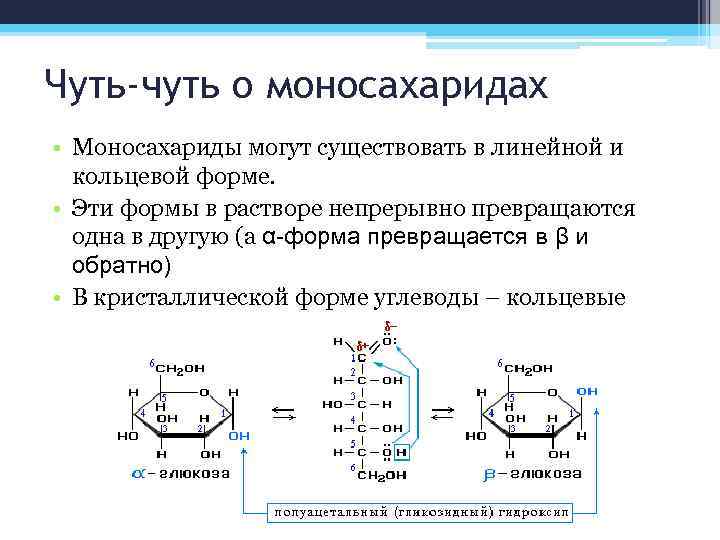 Чуть-чуть о моносахаридах • Моносахариды могут существовать в линейной и кольцевой форме. • Эти