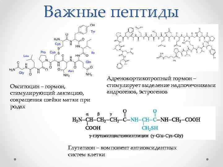 Важные пептиды Окситоцин – гормон, стимулирующий лактацию, сокращения шейки матки при родах Адренокортикотропный гормон
