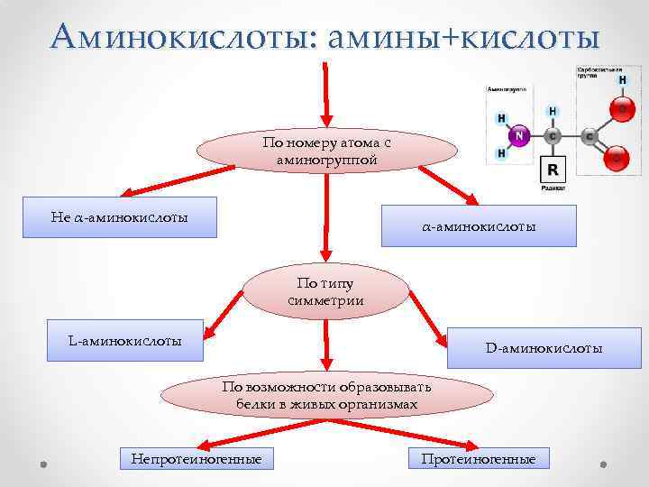 Технологическая карта аминокислоты