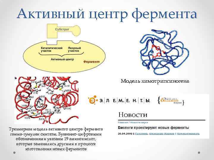 Активный центр фермента