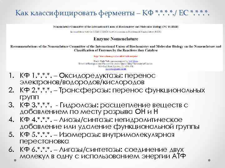 Как классифицировать ферменты – КФ *. *. / ЕС *. *. 1. КФ 1.
