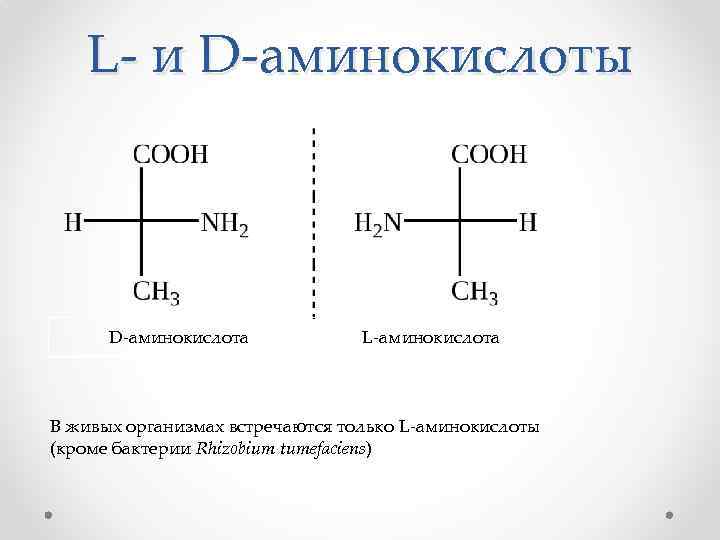 Глицин и аланин являются изомерами. D И L конфигурация аминокислот. Л форма аминокислот. L И D аминокислоты.