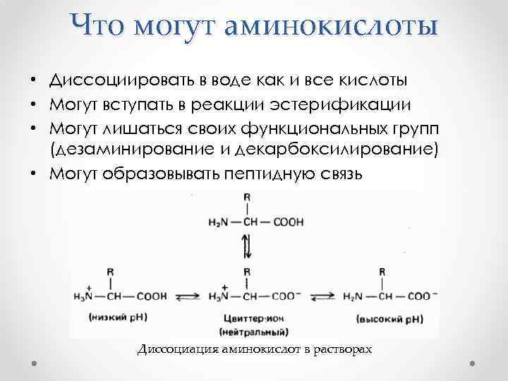 Что могут аминокислоты • Диссоциировать в воде как и все кислоты • Могут вступать