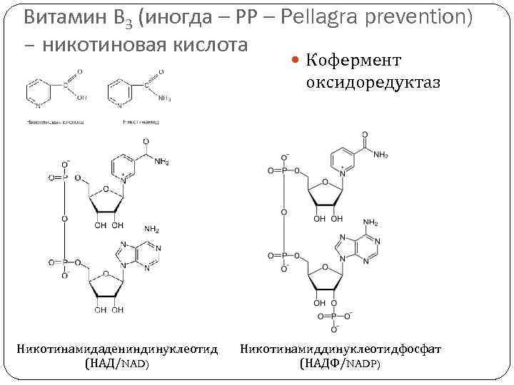 Витамин В 3 (иногда – РР – Pellagra prevention) – никотиновая кислота Кофермент оксидоредуктаз