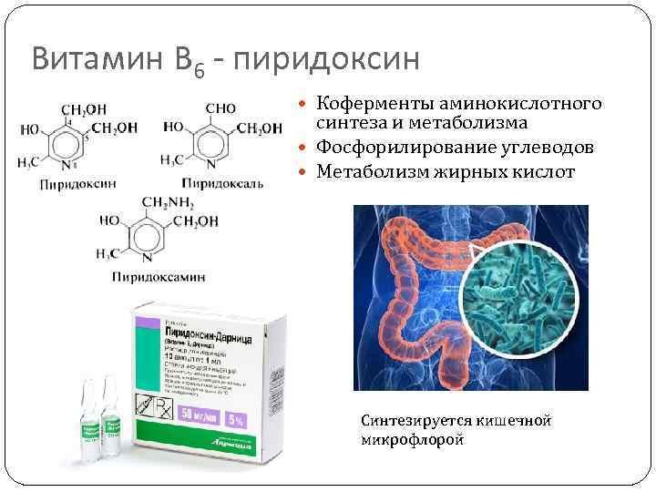 Витамин В 6 - пиридоксин Коферменты аминокислотного синтеза и метаболизма Фосфорилирование углеводов Метаболизм жирных