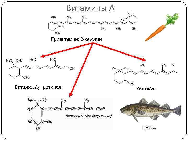 Витамины А Провитамин: β-каротин Витамин А 1 - ретинол Ретиналь Треска 
