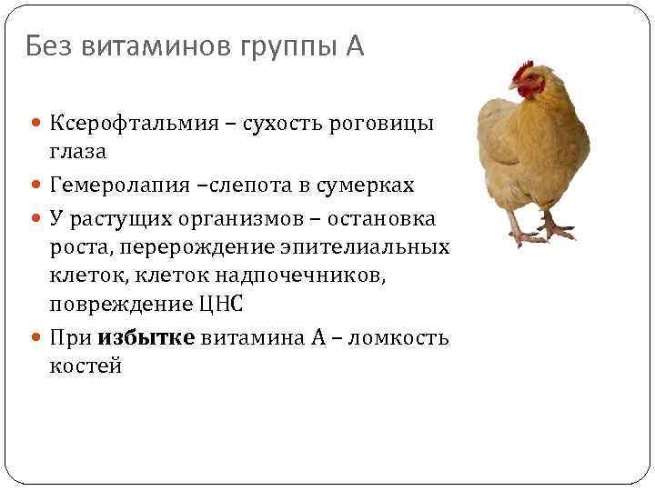 Без витаминов группы А Ксерофтальмия – сухость роговицы глаза Гемеролапия –слепота в сумерках У