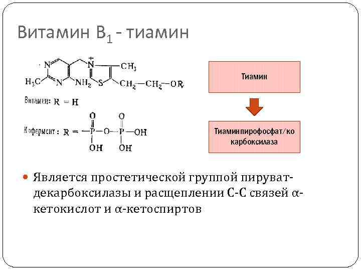 Витамин В 1 - тиамин Тиаминпирофосфат/ко карбоксилаза Является простетической группой пируват- декарбоксилазы и расщеплении