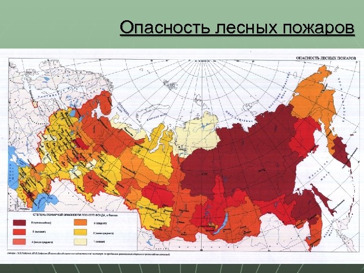 Опасность лесных пожаров 