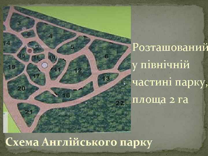 Розташований у північній частині парку, площа 2 га Схема Англійського парку 
