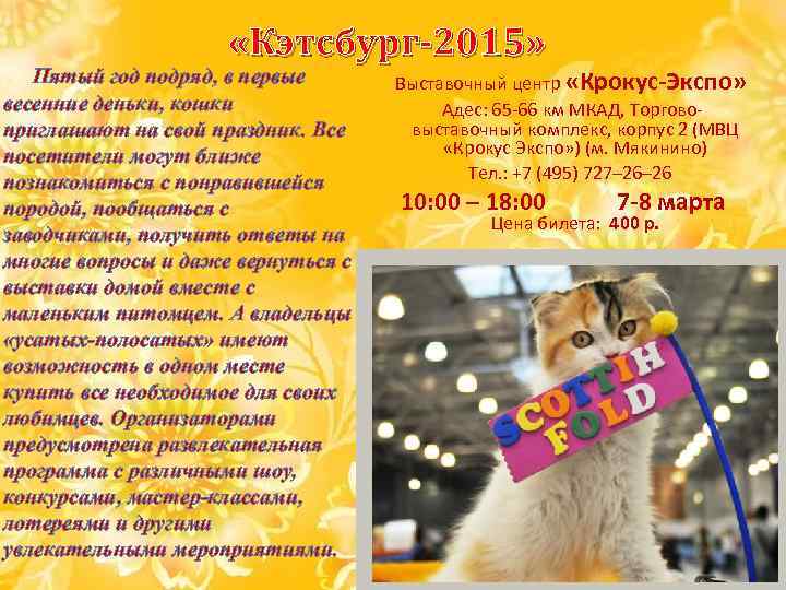  «Кэтсбург-2015» Пятый год подряд, в первые весенние деньки, кошки приглашают на свой праздник.