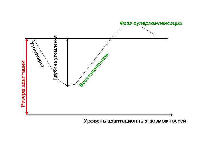 ни е ле но в та сс Во Резерв адаптации е ени мл Уто