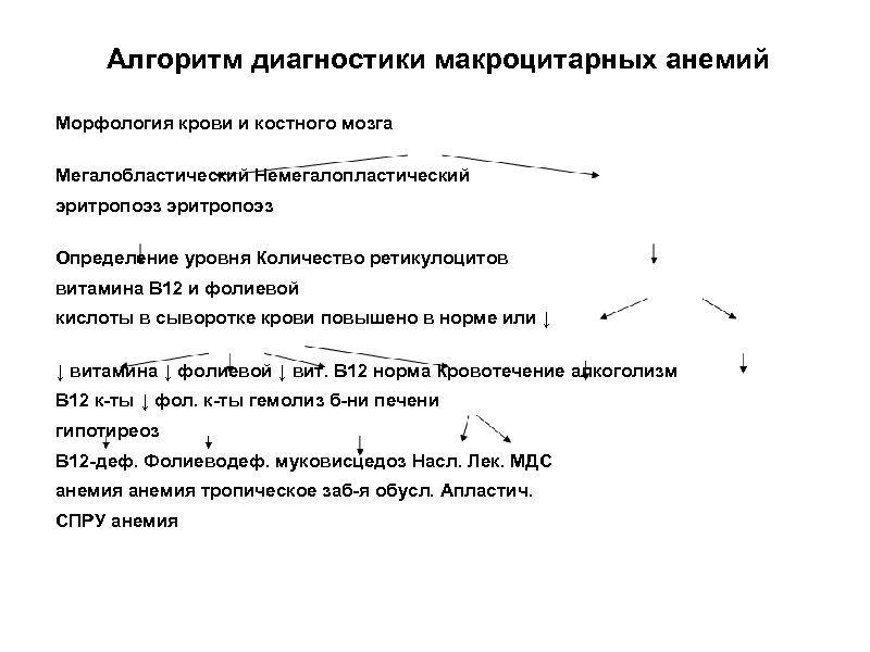 Алгоритм диагностики макроцитарных анемий Морфология крови и костного мозга Мегалобластический Немегалопластический эритропоэз Определение уровня