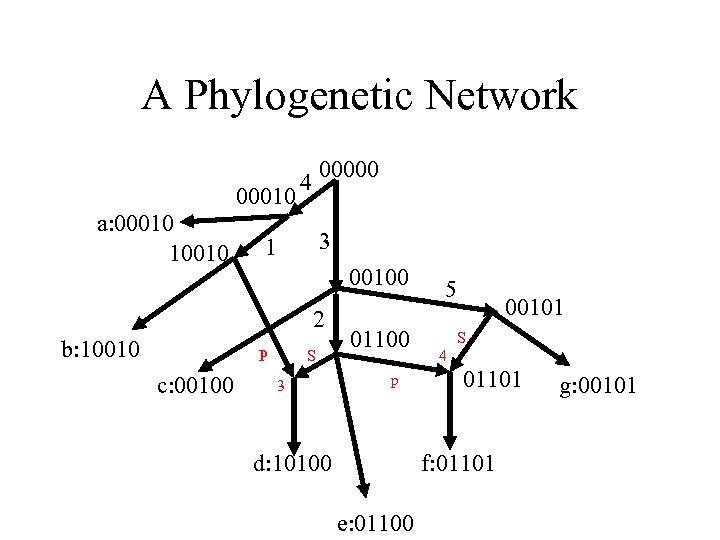 A Phylogenetic Network 00010 a: 00010 10010 00000 4 3 1 00100 2 b: